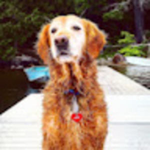 Meet your Posher, Douglas